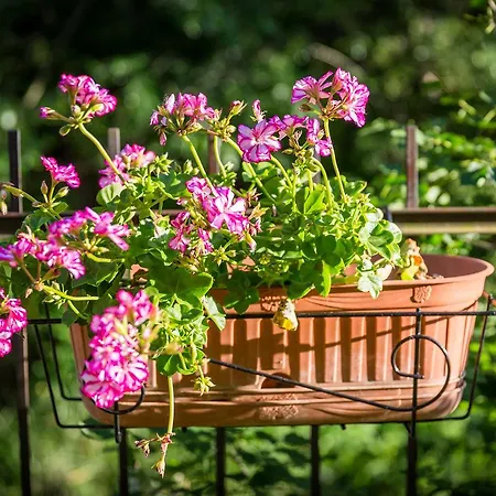 Bed & Breakfast I Tre Colibri *